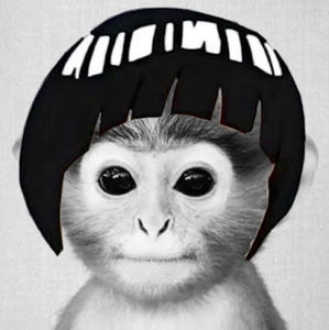 Meet your Posher, Zwok